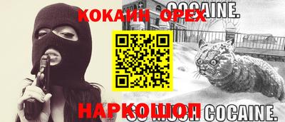 МДПВ Камышлов