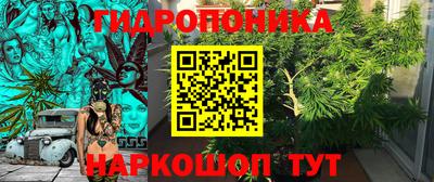 МДПВ Камышлов