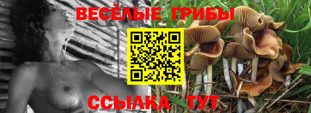 Галлюциногенные грибы MAGIC MUSHROOMS Кудрово