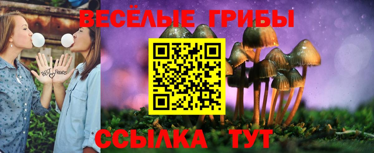 Кудрово  Псилоцибиновые грибы мухоморы  Галлюциногенные грибы Psilocybe  Вход с VPN 